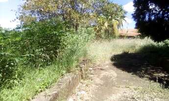 Imagem 2: VENDE-SE TERRENO COM 336 METROS Q