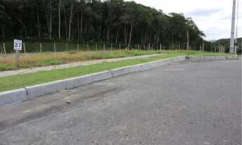 Imagem 6: Blumenau - Terreno Padrão - Itoupavazinha