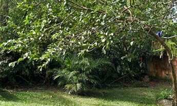 Imagem 3: Alugo Anual no Porto da Lagoa