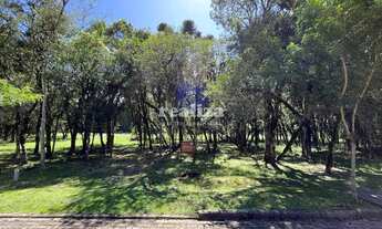 Imagem: TERRENO EM CANELA