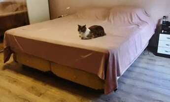 Imagem: CASA ASSOBRADADA - PERDIZES - SP