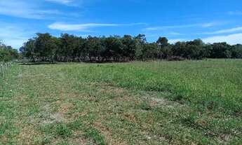 Imagem 4: Bela área na saída para SP, 10.000 m²