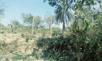 Imagem 3: Lote próximo ao rio Paraopeba