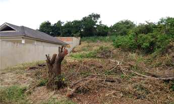 Imagem: Inspire-se em um cenário rico em diversos