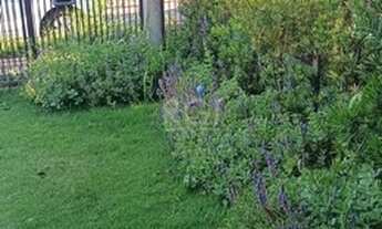 Imagem 4: Casa no Loteamento moradas do sul