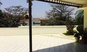 Imagem 5: GALPÃO - JARDIM SÃO CAETANO - SP