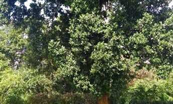 Imagem 6: Aldeia - Casa em Aldeia 250m² 3 Quartos 2 Suítes