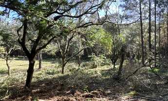 Imagem 15: Sítio Com Açude Em Condomínio Fechado. ROB:438