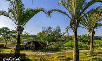 Imagem 4: Terreno - Loteamento Residencial Entre Verdes (Sousas) - Campinas