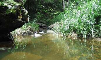 Imagem 2: Oportunidade Casa A 6Km Do Pacoti As Margens Da Ce,6 Hectares Valor R$500.000,00 Todo Docu