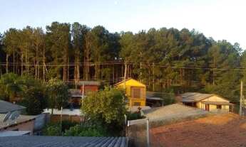 Imagem 6: Casa com 1 dormitório para alugar, 60 m² por R$ 880,00/mês - Ponta Grossa - Porto Alegre/R