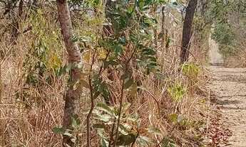 Imagem 6: Chácara em Jaraguá