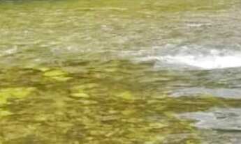 Imagem: CHÁCARA COXIPÓ DO OURO