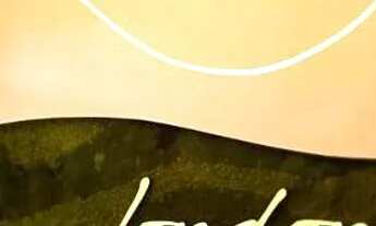 Imagem 7: VENDO SALA COMERCIAL NO ED LONDON BUSINESS - UMARIZAL