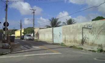 Imagem: DAMAS - Terreeno com Topografia Plana com