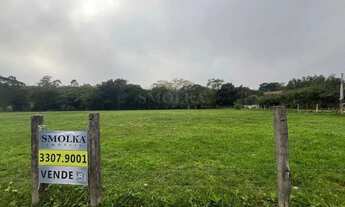 Imagem 2: Terreno plano 10.000m²