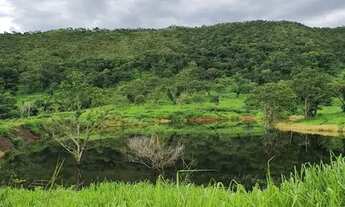 Imagem: Fazenda pra Gado 55 Alqueires - Região