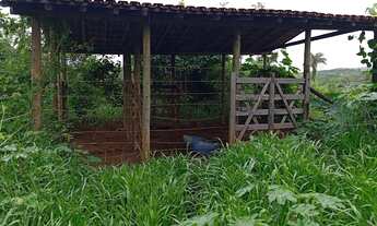 Imagem 2: Fazendinha 7 Alqueires)Saída pirapora!!!