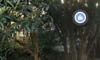 Imagem 6: Terreno estratégico esquina av. gravatai