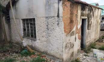 Imagem 7: Terreno para alugar em São Paulo, Vila São Luís(Zona Oeste