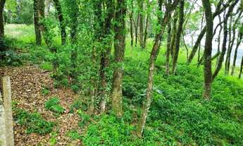 Imagem 6: Venda de Terreno em Condomínio em Caxias do Sul-RS, bairro Nossa Senhora da Saúde