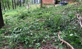 Imagem 3: Vendo lote bananal