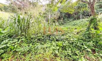 Imagem 4: Terreno à venda, 500 m² por R$ 300.000,00 - Piratininga - Niterói/RJ