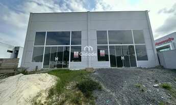 Imagem: Galpão para alugar, 250 m² por R$ 6.500,00/mês