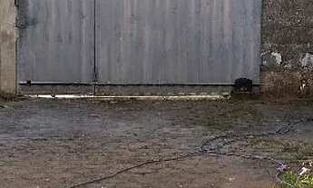 Imagem 2: Repasse duplex Apartamento com 2 dormitórios