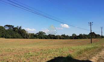 Imagem 5: Terreno à venda, 179.087 m2, Porto das Laranjeiras - Araucária PR