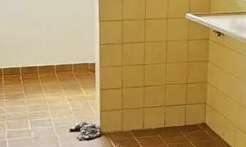 Imagem 6: Apartamento para Venda em São Gonçalo, Colubandê, 2 dormitórios, 1 banheiro, 1 vaga