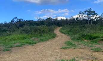 Imagem 3: Terreno Espaçoso em Região Valorizada