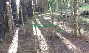 Imagem 7: Terras de São Felipe - Caucaia do Alto