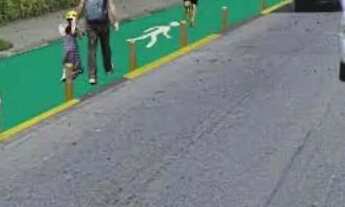 Imagem 5: Terreno em vargem grande