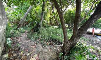 Imagem 2: Beira da Lagoa /Lote/Terreno para venda com 1470m2 Povoado Pedras rua asfalta- Marechal De