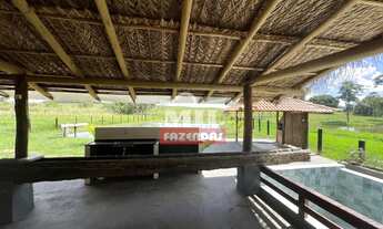 Imagem 6: Chácara 5,12 Alqueire (24,78 hectares) Mairipotaba - Go