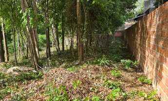 Imagem 3: Fazenda Real- Excelente terreno