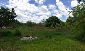 Imagem 2: Terreno no pov saúde em Santana São Francisco