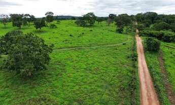Imagem 6: Chácara 20.000m², Energia, Terra de Cultura, Cercada, Apenas 6km de Aragoiânia