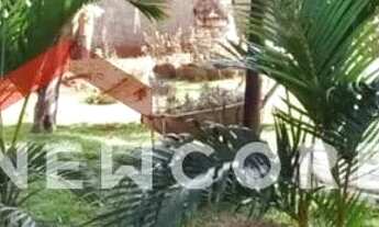 Imagem 2: Chácara em Área Rural - Área Rural de Uberlândia - Uberlândia/MG