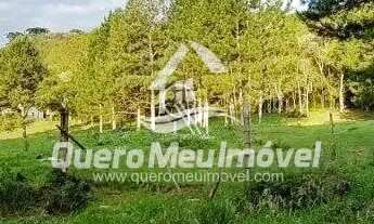 Imagem 6: Terreno à venda Parada Cristal Caxias do Sul/RS