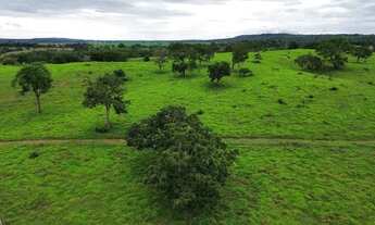 Imagem 4: Chácara 20.000m², Energia, Terra de Cultura, Cercada, Apenas 6km de Aragoiânia