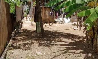 Imagem 4: Chácara dentro da cidade com casa