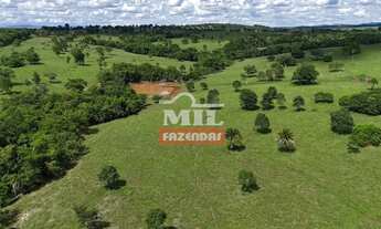 Imagem 7: Fazenda 21,5 alqueires (104,06 hectares) São Luis de Montes Belos - Go