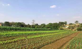 Imagem 4: Área à venda! 20303 m² por R$ 1.800.000. Quinta do Rio Dourado em Goiânia, perfeita para q