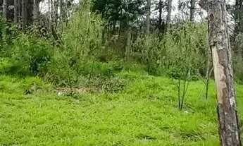 Imagem 3: Lotes para venda tem 500 metros quadrados em Vargem do Salto - Ibiúna - SP