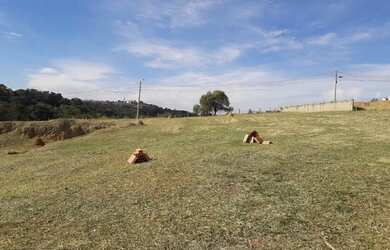Imagem 2: TERRENO À VENDA NO JARDIM JOSANE