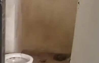 Imagem 7: Apartamento Apartamento com 2 dormitórios