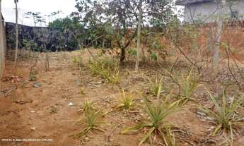 Imagem 6: Terreno para Venda em Presidente Prudente, PRUDENTINO