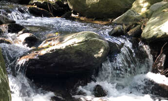 Imagem 6: Sítio Terrenos Lotes Chácaras 4.000m2 em Sítio na Serra da Cruz em Macaé